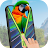 Parrot Voice Screen Lock App icon