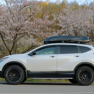 CR-V RW2