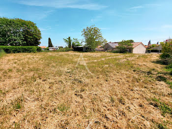 terrain à Bellevigne-en-Layon (49)