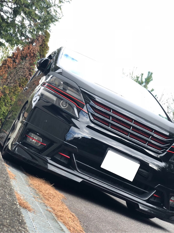 ヴェルファイアの#2018ベストショット・2018ベストショットに関するカスタム事例の投稿画像2枚目