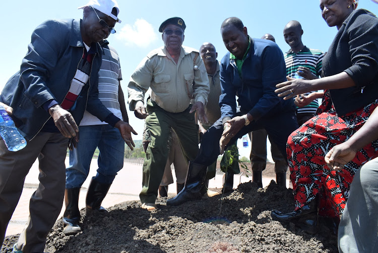 Tigania West MP John Mutunga plants a tree at Nguthiru ya Laingo in his constituency