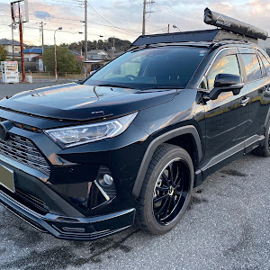 RAV4 AXAH54