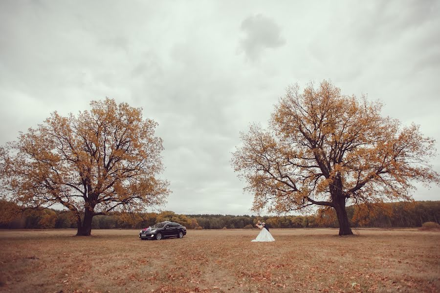 Fotografo di matrimoni Denis Perminov (denisperminov). Foto del 11 ottobre 2015