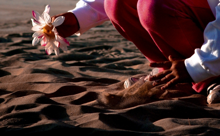 Fiore di sabbia di bondell