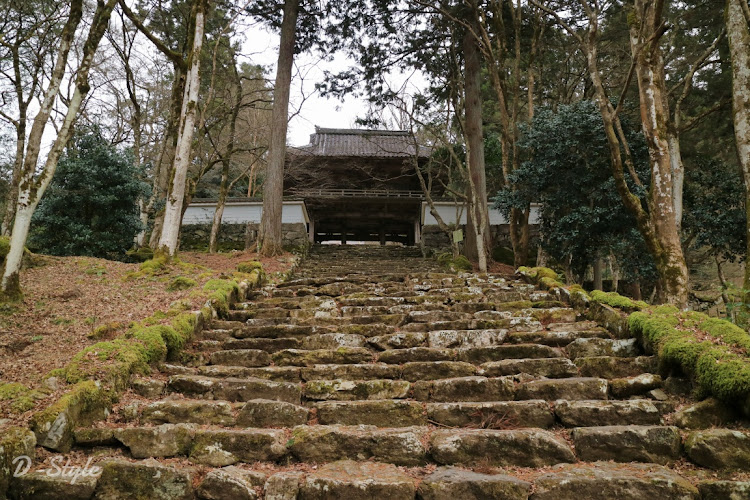 3シリーズ セダンのドライブ・兵庫県 丹波市・高源寺・雨の日は乗りません・BMW3シリーズに関するカスタム事例の投稿画像4枚目