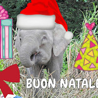 Natale nel mondo! di 