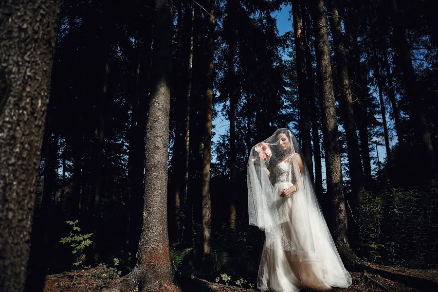 Fotógrafo de casamento Evgeniy Tayler (ilikewed). Foto de 2 de outubro 2019