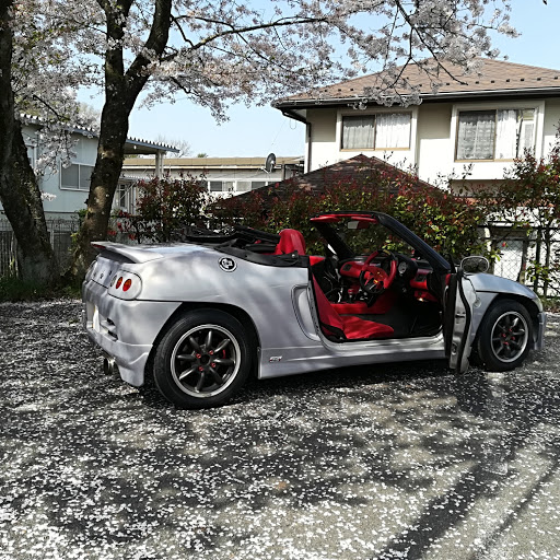 さくらのプロフィール画像
