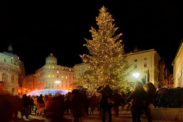 L'accensione dell'albero di Dariagufo