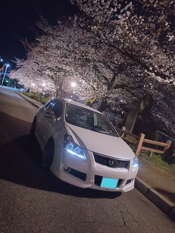 ブレイドの桜と愛車・桜シーズン開幕・サクラと愛車・ドライブ・ブレーキキャリパー交換に関するカスタム事例の投稿画像1枚目