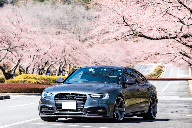 A5 スポーツバックのAudi・桜・sportback・Audiと美しい風景・箱根ターンパイクに関するカスタム事例の投稿画像3枚目
