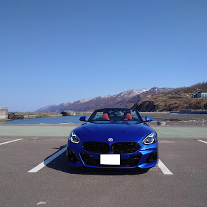 Z4 ロードスター G29