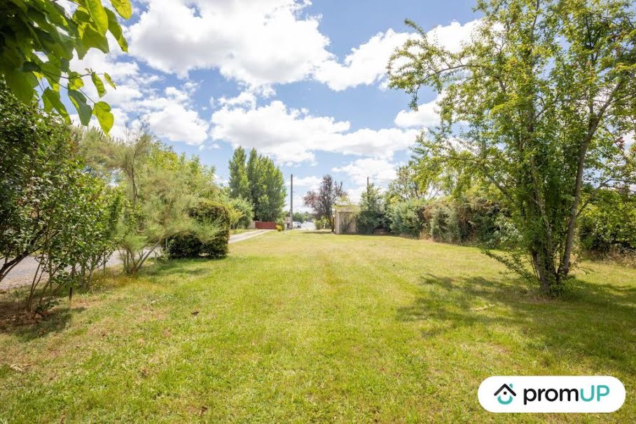 Vente terrain  800 m² à Albi (81000), 123 000 €