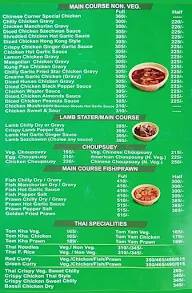 Shanghai Delight menu 1