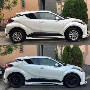 C-HR NGX10