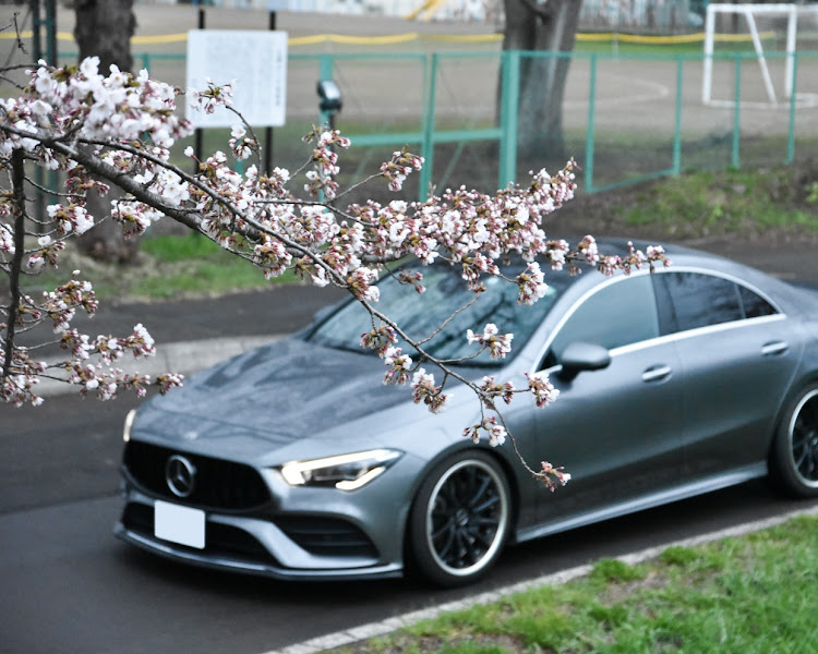 CLAクーペの桜と愛車・桜2021・撮影ドライブ・イキ顔太郎・半顔に関するカスタム事例の投稿画像3枚目