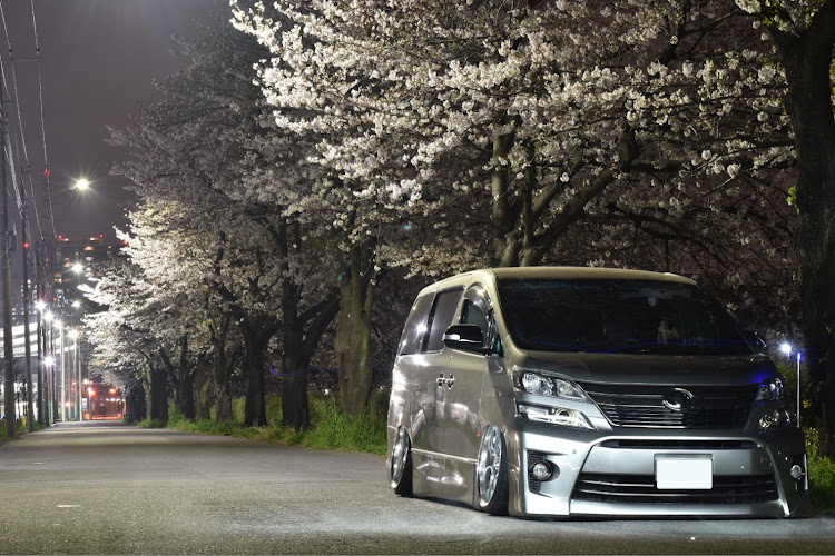 ヴェルファイアのDIY・LOW PRECIOUS・2度目のオールペン・ソニックチタニウム・サクラと愛車に関するカスタム事例の投稿画像1枚目