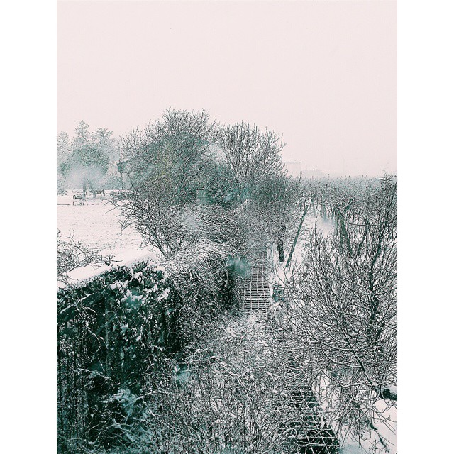 La neveeeee #vsco #vscocam #snow #White #winter #Christmas #december #holidayspirit #holidays #vscogrid #igersitalia #vscotoday #vscodaily #Rovereto #mountain di aleffandrab