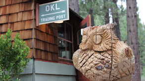 An Owl on an Acorn thumbnail