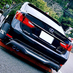 GS AWL10