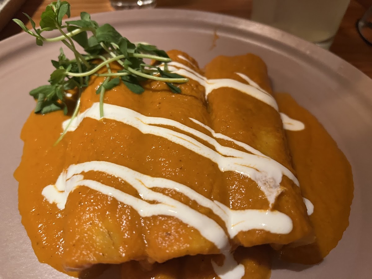 Shrimp enchiladas