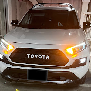 RAV4 MXAA54