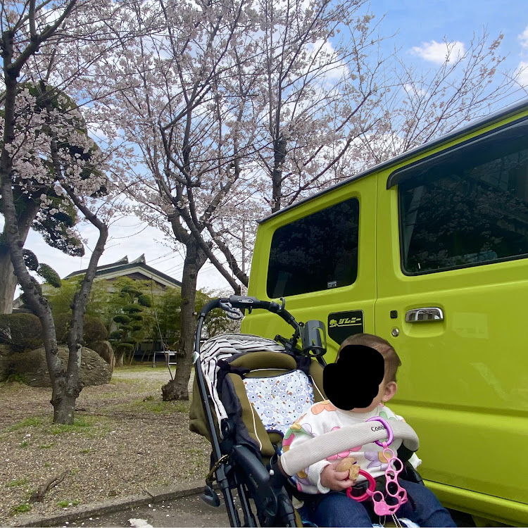ジムニーの桜とコラボ・サクラと愛車・桜・生存確認に関するカスタム事例の投稿画像4枚目