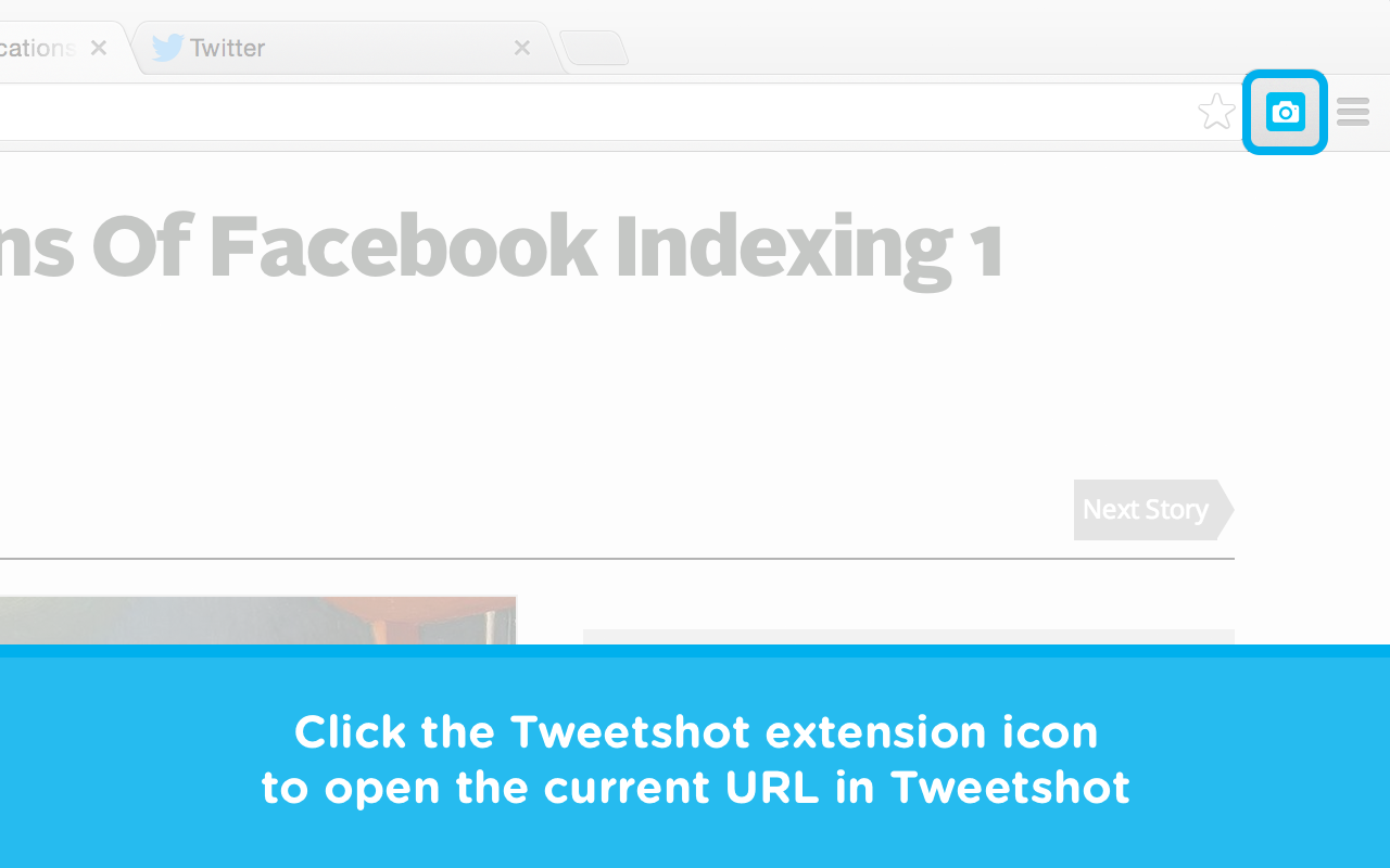 TwitShot for Chrome Preview image 0