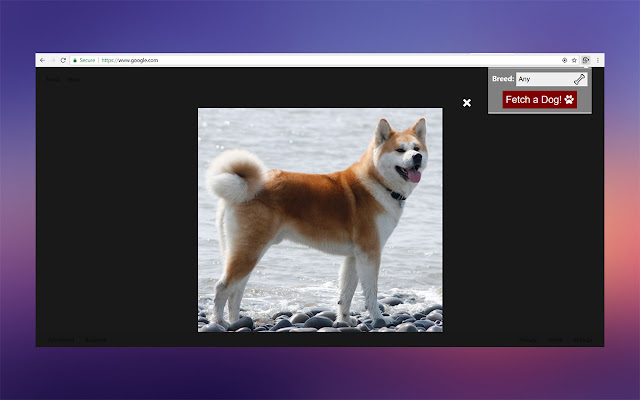 Fetch! chrome extension