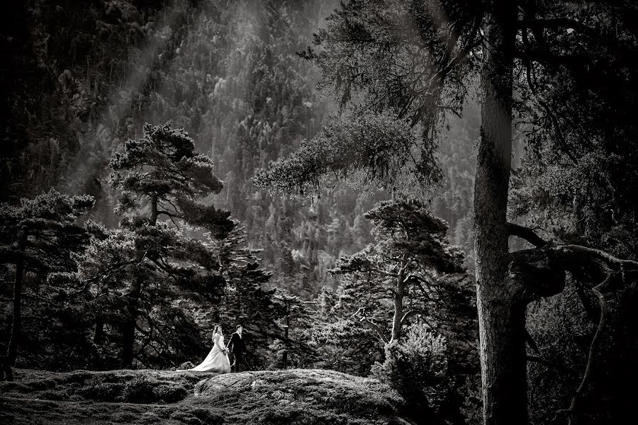 Pulmafotograaf Yann Faucher (yannfaucher). Foto tehtud 14 mai 2020