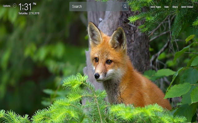 Cute Foxes Themes Wallpapers for New Tab 