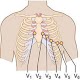 Clinical ECG Guide. Download on Windows