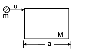 Momentum conservation