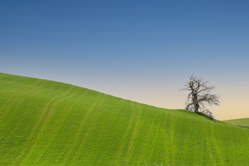 Il mio Desktop di utente cancellato