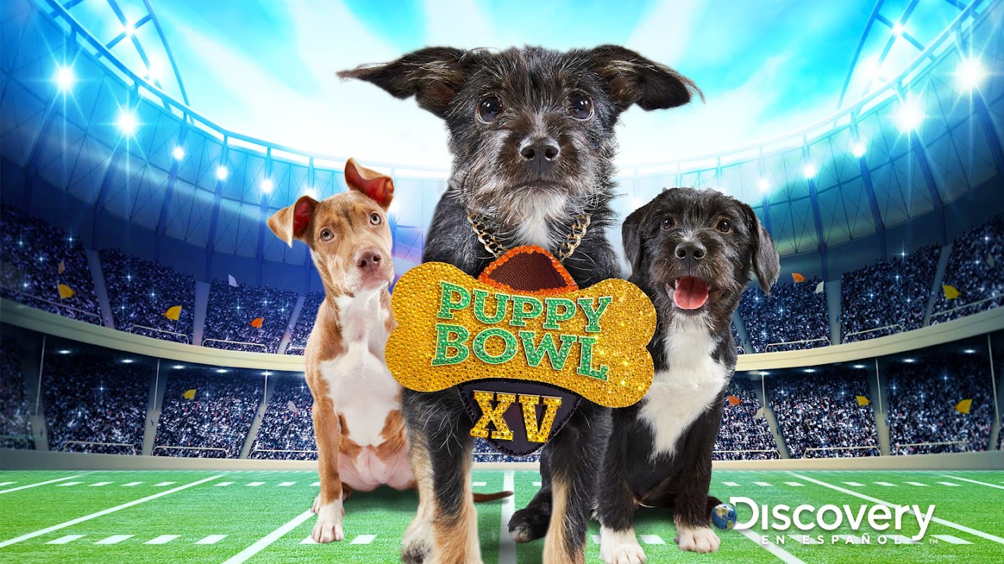 Puppy Bowl XV