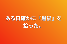 ある日確かに『黒猫』を拾った。