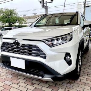 RAV4 MXAA54