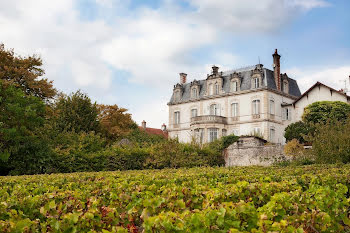 château à Mercurey (71)