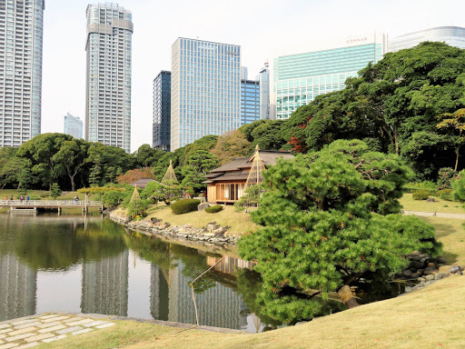 Wandering Tokyo by Land & Sea Japan 2017