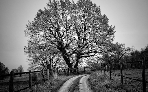 Dirt road