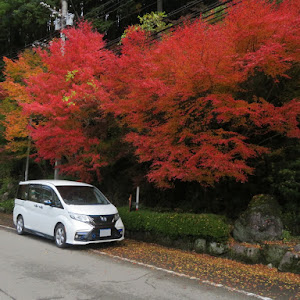 ステップワゴンスパーダ RP3