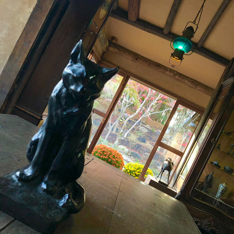 Nボックスカスタムのドライブ・紅葉・公園にてに関するカスタム事例の投稿画像13枚目