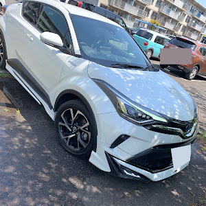 C-HR ZYX11