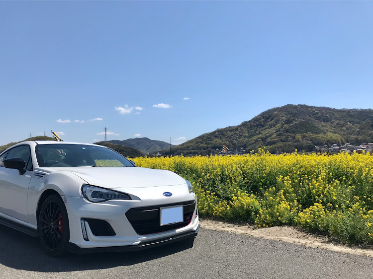 BRZの自粛生活・86BRZ・菜の花畑・芝桜・お花コラボに関するカスタム事例の投稿画像1枚目