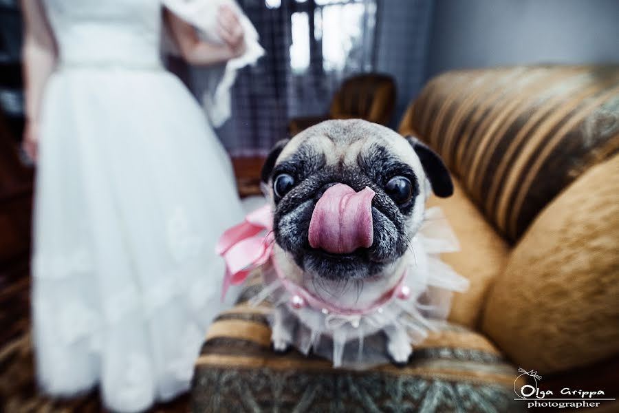 Fotografo di matrimoni Olga Grippa (olgagrippa). Foto del 8 gennaio 2017