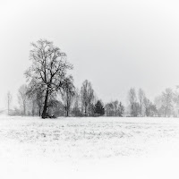 Nel bianco di EgliLui