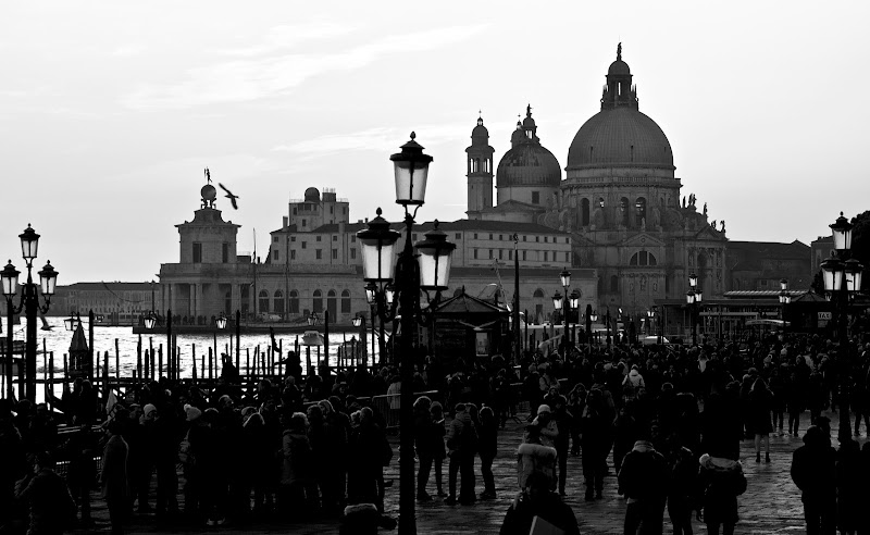 A passeggio nelle calli di mauott