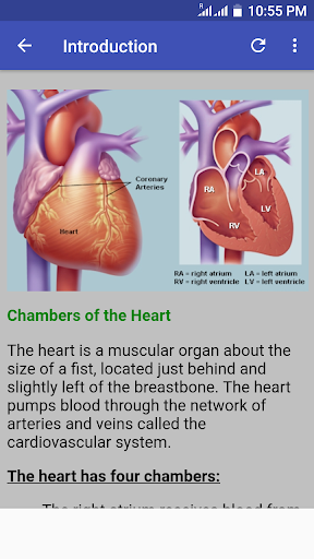 Cardiology Guide