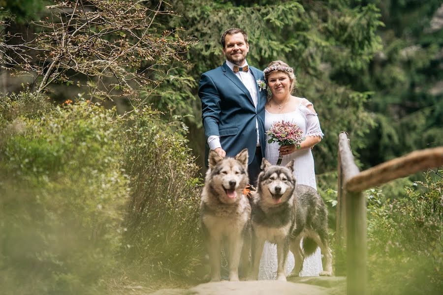 Wedding photographer Petr Šedivý (sedivy). Photo of 28 December 2020