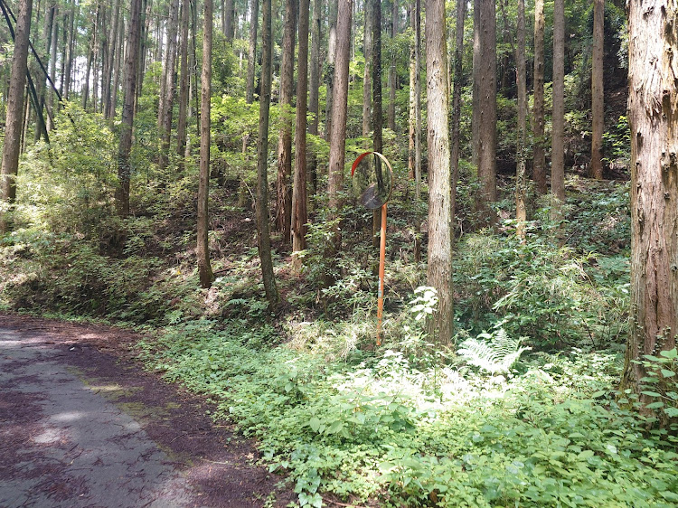 ハイゼットカーゴのまだ暑いですね・三連休・秋の気配・和と愛車・振り返り投稿に関するカスタム事例の投稿画像16枚目